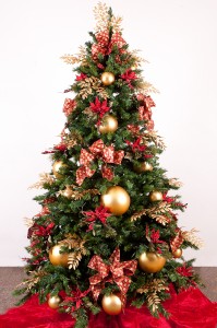 christmas picture
